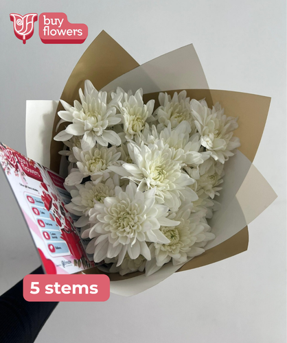 White Chrysanthemums  thumbnail view 4 - BuyFlowers Nigeria
