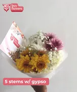 Mixed Coloured Chrysanthemums /Gypso thumbnail view 7 - BuyFlowers
