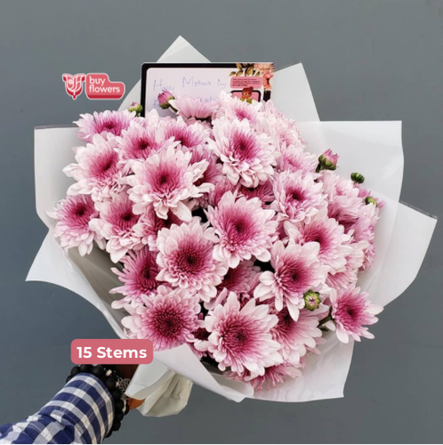 Pink Chrysanthemums  thumbnail view 2 - BuyFlowers Nigeria
