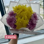 Mixed Coloured Chrysanthemums