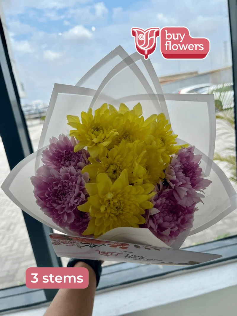 Mixed Coloured Chrysanthemums - Fresh flower delivery | Buy online at BuyFlowers