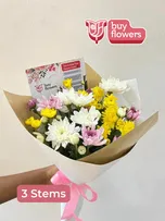 Mixed Coloured Chrysanthemums thumbnail view 15 - BuyFlowers