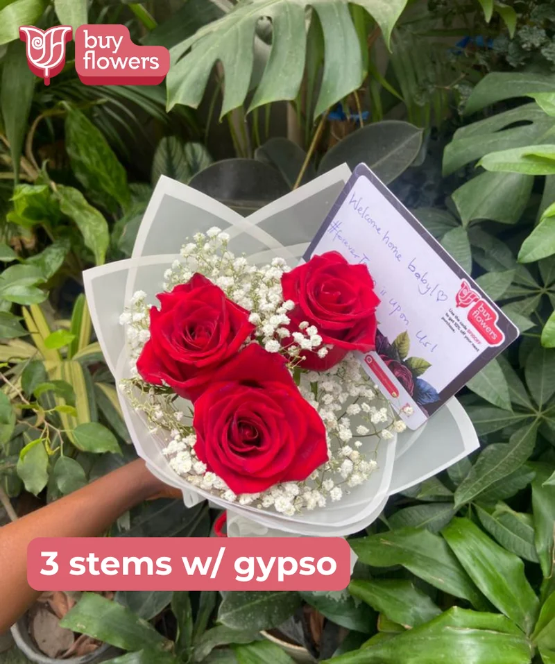 Deluxe Rose Combo - Fresh flower delivery | Buy online at BuyFlowers