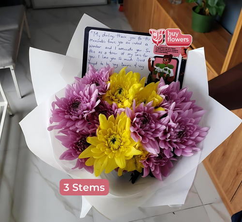 Mixed Coloured Chrysanthemums thumbnail view 9 - BuyFlowers Nigeria