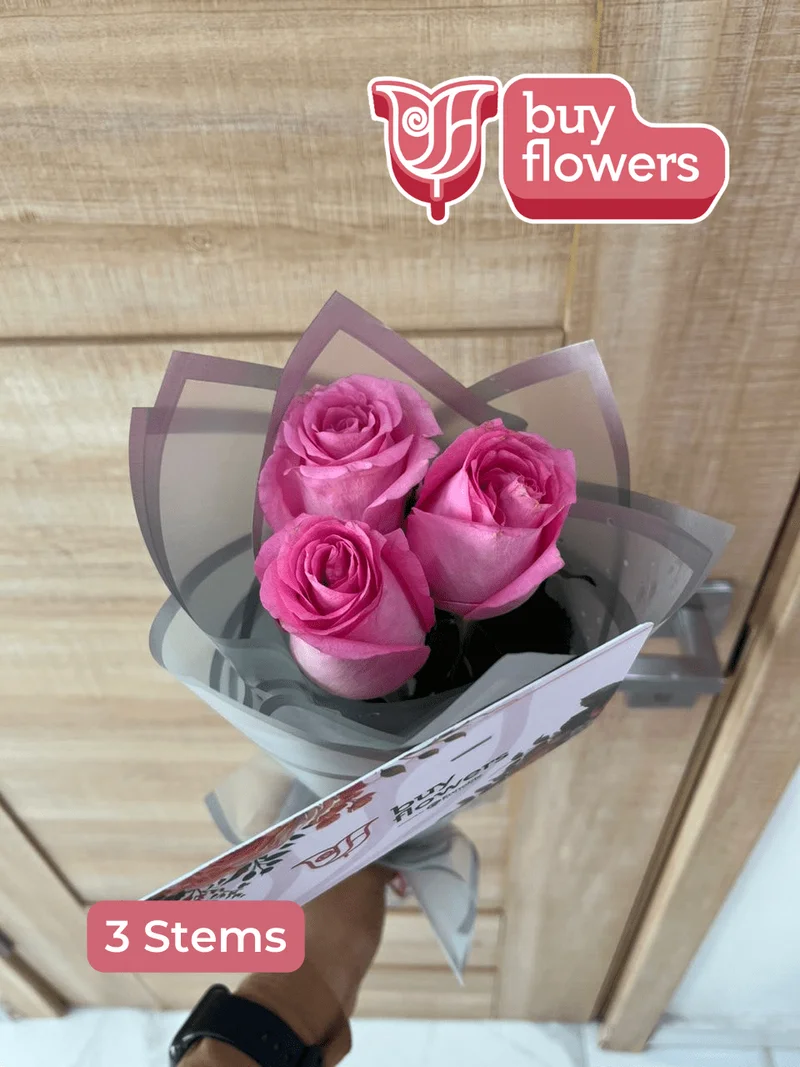 Order Pink Roses for same-day delivery Pink Roses - Fresh flower delivery | Buy online at BuyFlowers