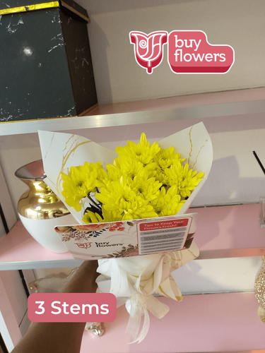 Yellow Chrysanthemums  thumbnail view 2 - BuyFlowers Nigeria
