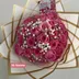 Pink Roses/Gypso