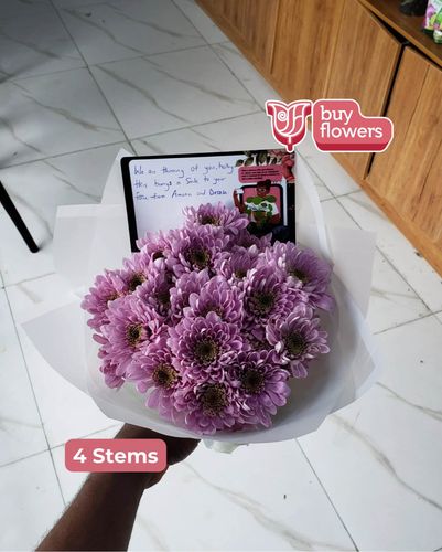 Pink Chrysanthemums  thumbnail view 6 - BuyFlowers Nigeria