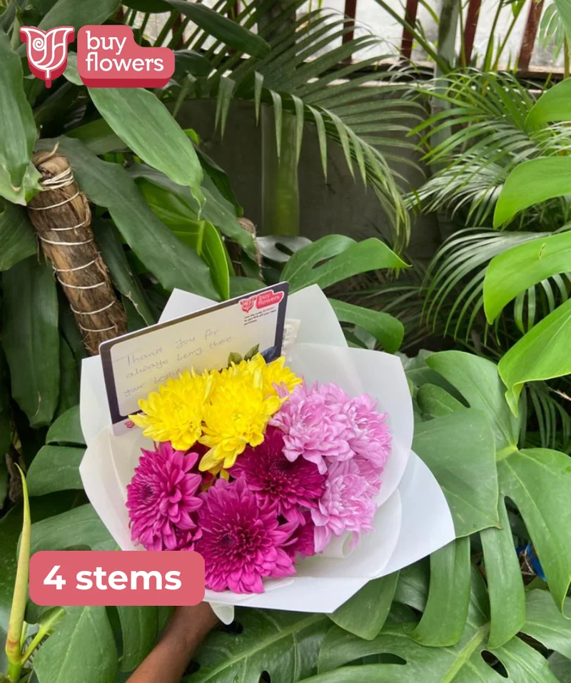 Order Mixed Coloured Chrysanthemums for same-day delivery Mixed Coloured Chrysanthemums - Fresh flower delivery | Buy online at BuyFlowers