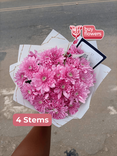 Pink Chrysanthemums  thumbnail view 8 - BuyFlowers Nigeria