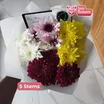 Mixed Coloured Chrysanthemums