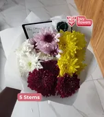 Mixed Coloured Chrysanthemums thumbnail view 10 - BuyFlowers