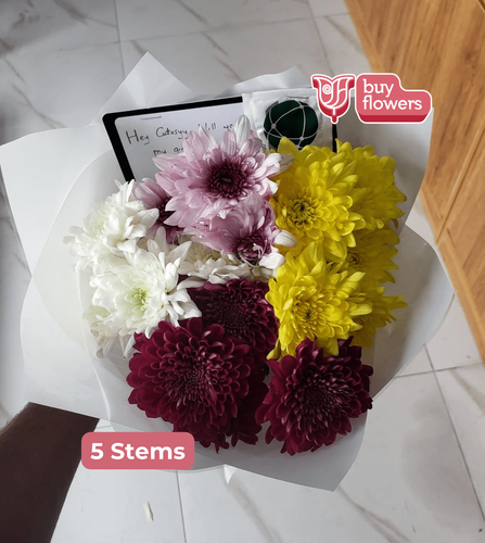 Mixed Coloured Chrysanthemums thumbnail view 10 - BuyFlowers Nigeria