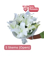 White Lilies thumbnail view 5 - BuyFlowers