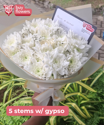 White Chrysanthemums/Gypso thumbnail view 5 - BuyFlowers Nigeria