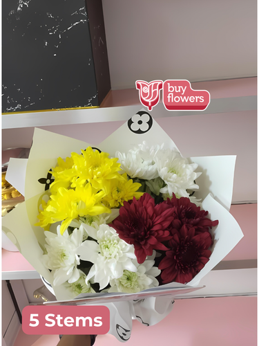 Mixed Coloured Chrysanthemums thumbnail view 11 - BuyFlowers Nigeria