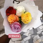 Mixed Colored Roses