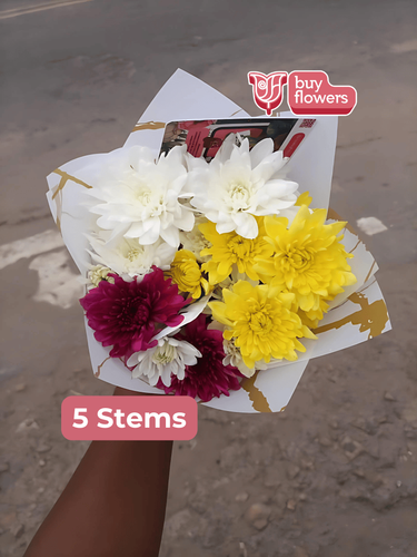 Mixed Coloured Chrysanthemums thumbnail view 17 - BuyFlowers Nigeria