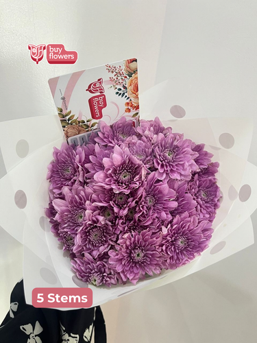 Pink Chrysanthemums  thumbnail view 5 - BuyFlowers Nigeria