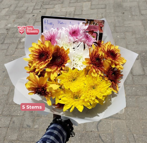 Mixed Coloured Chrysanthemums thumbnail view 2 - BuyFlowers Nigeria