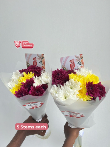 Mixed Coloured Chrysanthemums thumbnail view 3 - BuyFlowers Nigeria