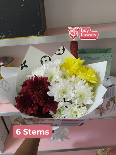 Mixed Coloured Chrysanthemums thumbnail view 14 - BuyFlowers Nigeria