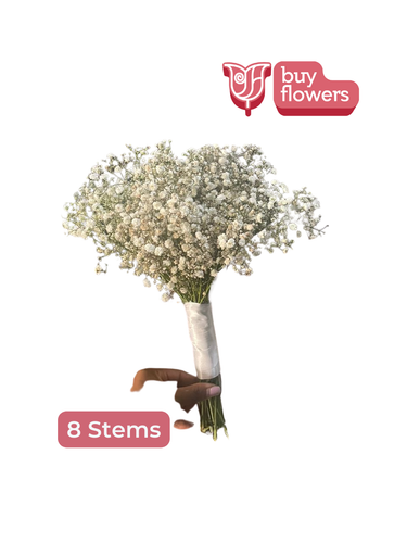 Gypso Bouquet - Weddings thumbnail view 3 - BuyFlowers Nigeria