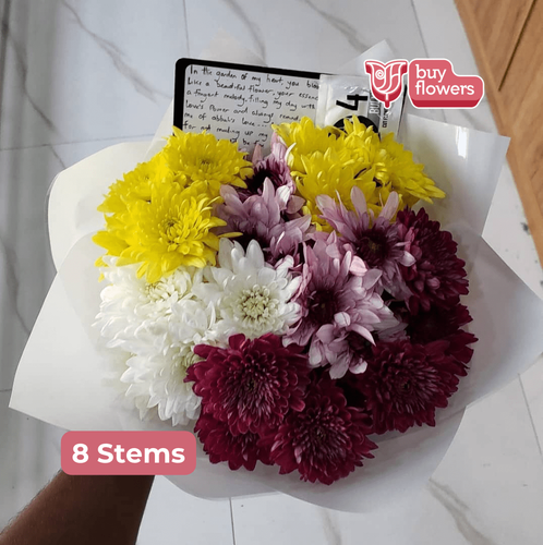 Mixed Coloured Chrysanthemums thumbnail view 5 - BuyFlowers Nigeria