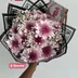 Pink Chrysanthemums /Gypso 