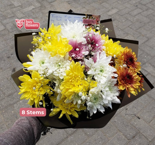 View Mixed Coloured Chrysanthemums /Gypso image 2 Mixed Coloured Chrysanthemums /Gypso thumbnail view 2 - BuyFlowers Nigeria
