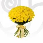 Yellow Chrysanthemums 