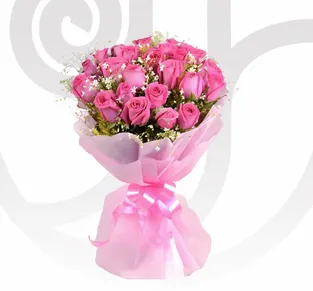 Pink Roses/Gypso