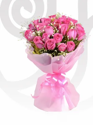 Pink Roses/Gypso