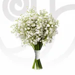 Gypso Bouquet - Weddings