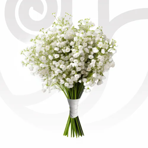 Gypso Bouquet - Weddings