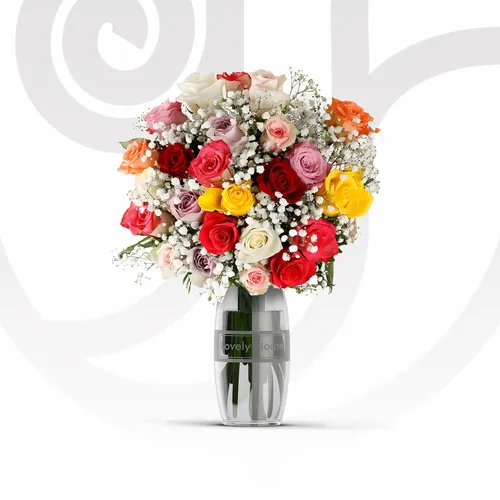 Mixed Colored Roses/Gypso