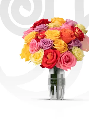 Mixed Colored Roses