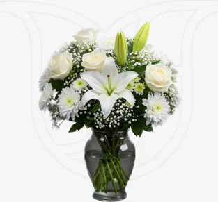 Elegant White
