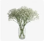 Gypso Bouquet - Weddings thumbnail view 1 - BuyFlowers