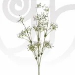 Gypsophila in Bulk thumbnail view 1 - BuyFlowers