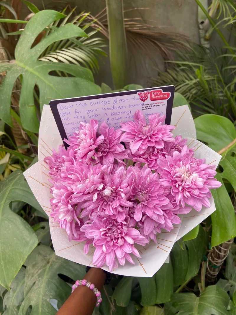 Pink Chrysanthemums  - Fresh flower delivery | Buy online at BuyFlowers
