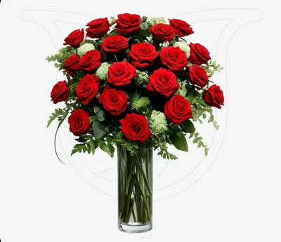 Red Roses/Greenery