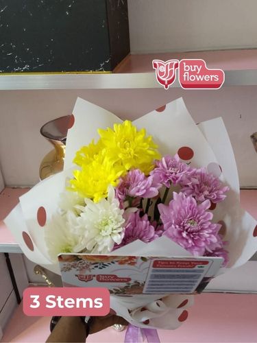 Mixed Coloured Chrysanthemums thumbnail view 8 - BuyFlowers Nigeria
