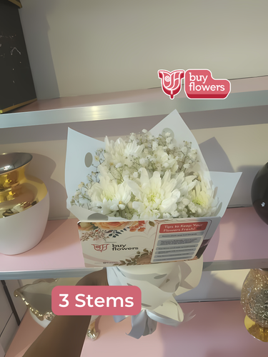 White Chrysanthemums/Gypso thumbnail view 2 - BuyFlowers Nigeria