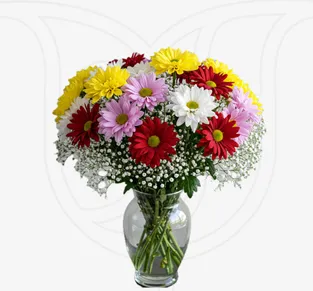 Mixed Coloured Chrysanthemums /Gypso