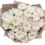 White Chrysanthemums 