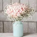 Pink Chrysanthemums /Gypso 