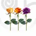 Mixed Color Roses (Yellow, Orange, Purple) in Bulk