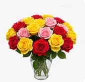 Mixed Colored Roses