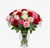 Mixed Colored Roses/Gypso